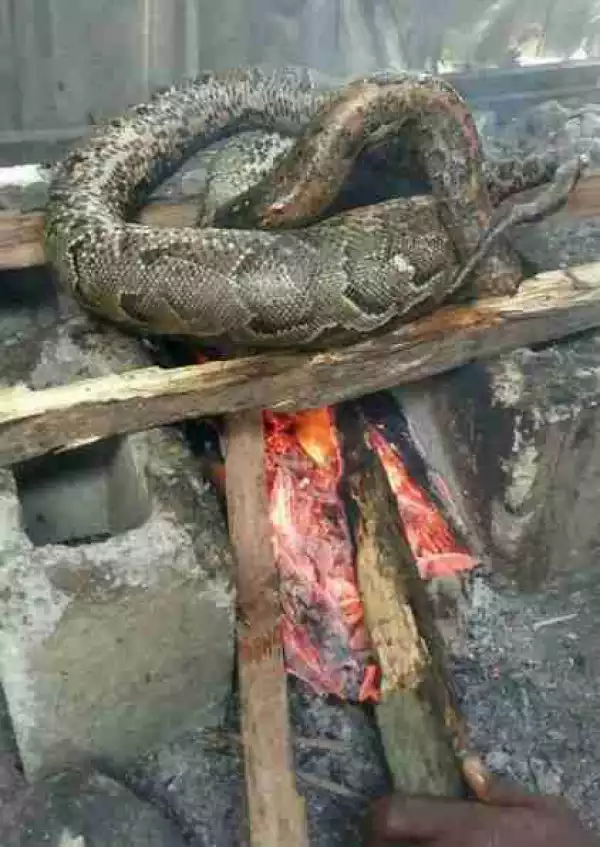 Man Using Python For Pepper Soup In Port Harcourt. Online Users React (Photos)